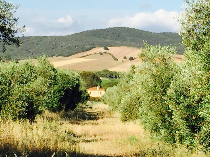 Tenuta Agricola Dell'Uccellina