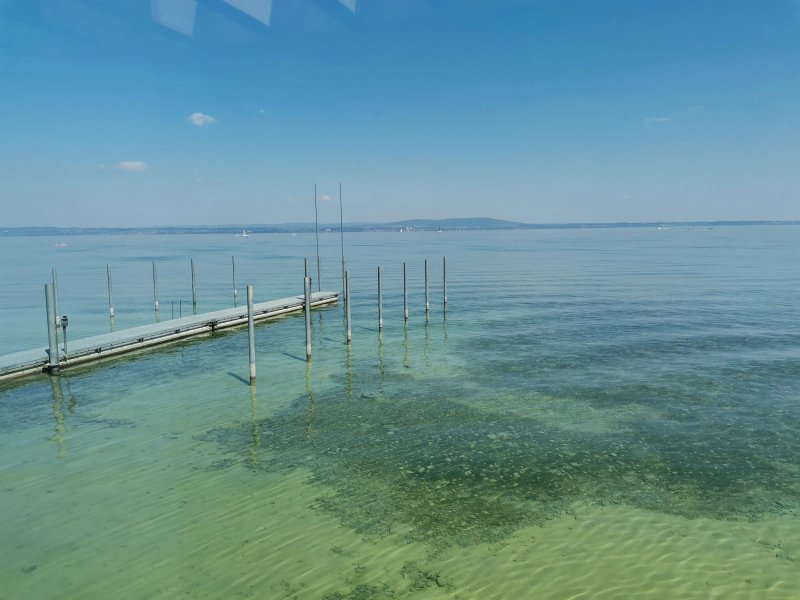 Pier