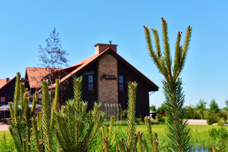 Rusne Villa