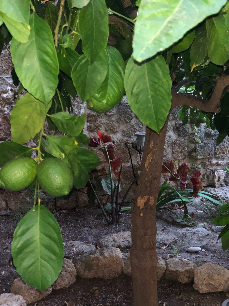 St. Artemios Boutique Hotel