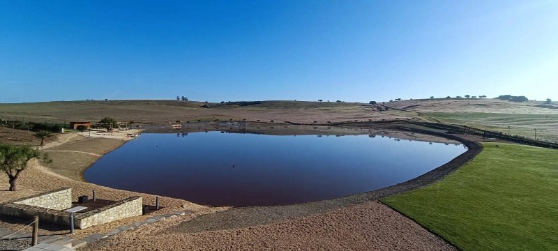 Monte Vale - Organic Farm