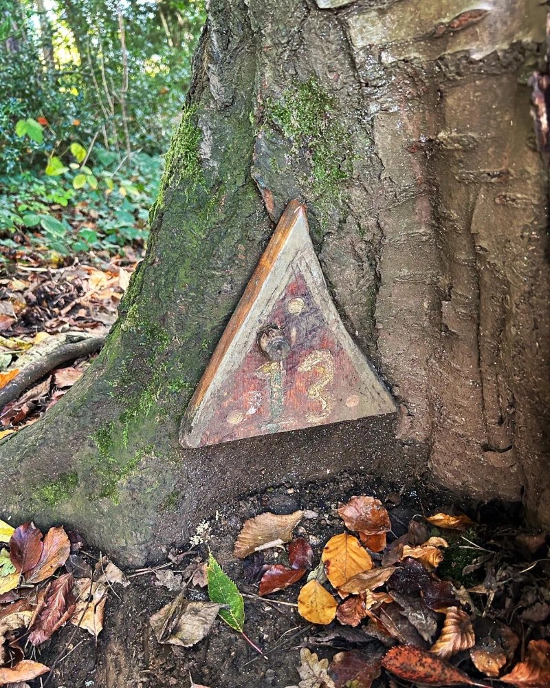 Woodland Play Area and Elf and Fairy Trail