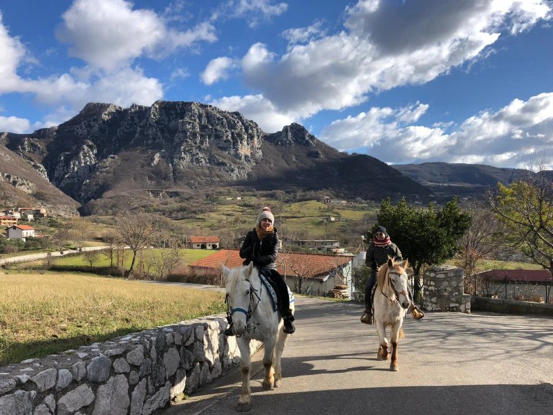 B&B dell'Agriturismo Casale Vitelli