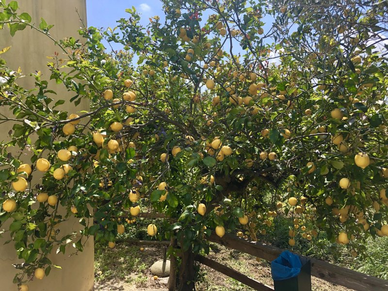 Azienda Agrituristica Soleluna