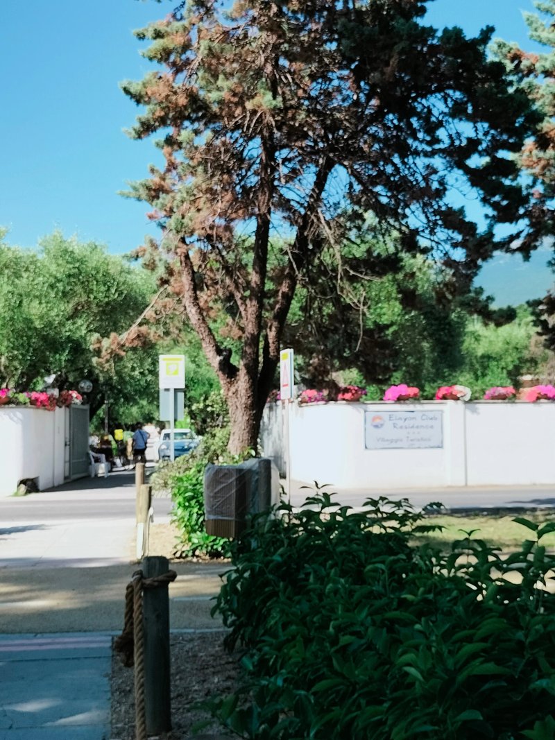 Elayon Club Residence