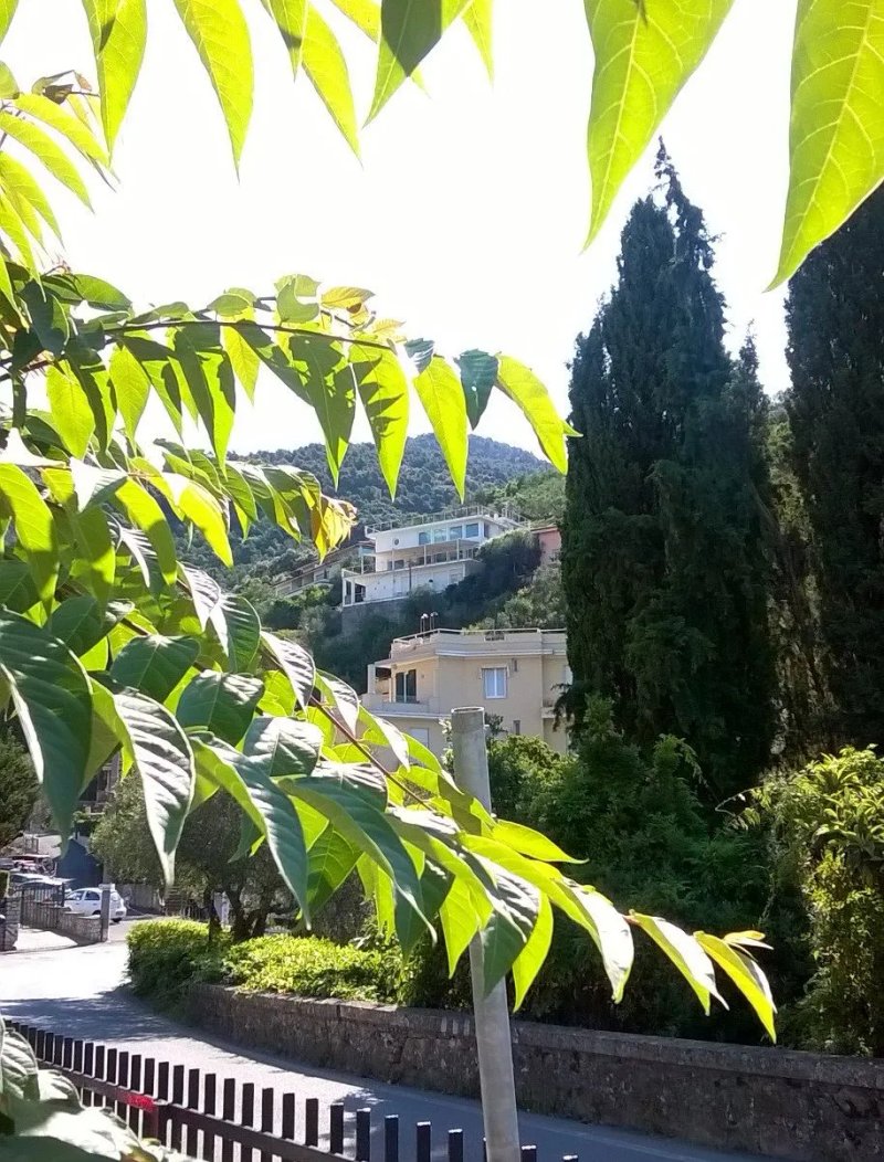 B&B Mare di Stelle