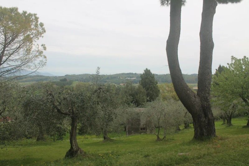 Agriturismo Campo al Sole