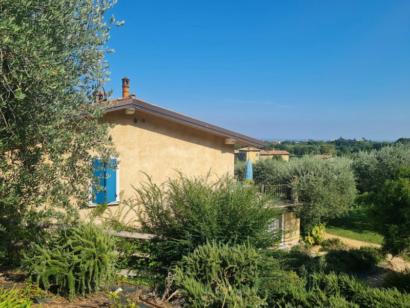 Agriturismo Il Cardo