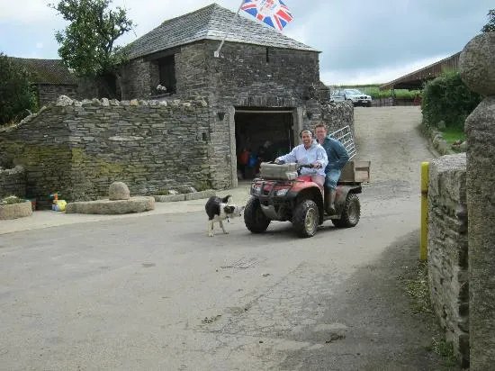 Tregondale Manor Farm