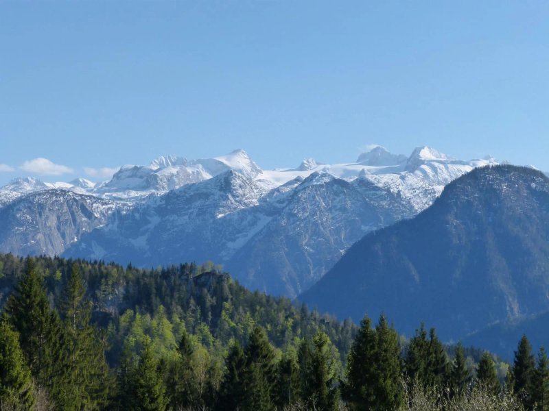 Alpengasthof Halleralm