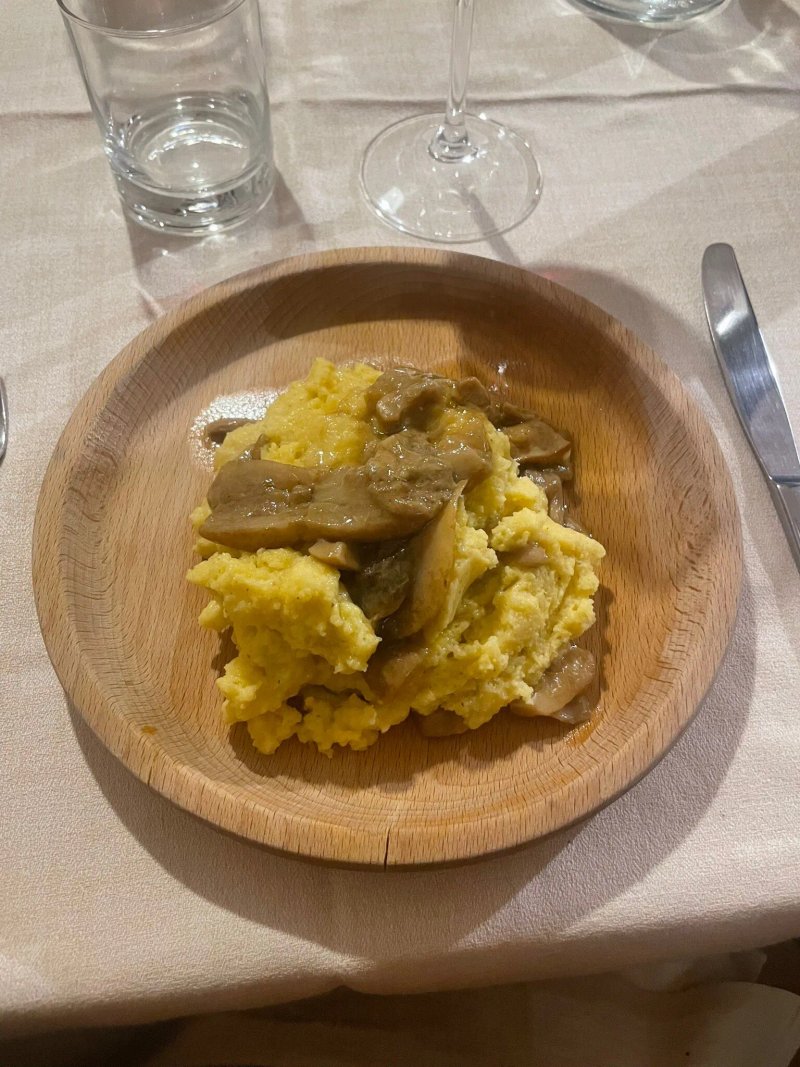 Olmicello