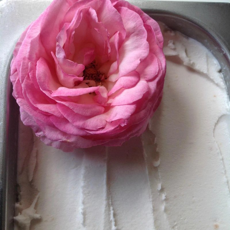 Gelateria San Giuda