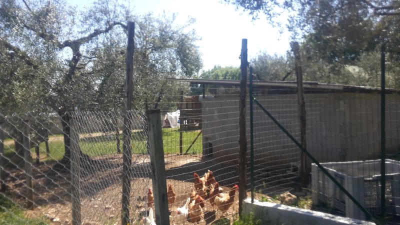 La Fattoria Di Casacotta