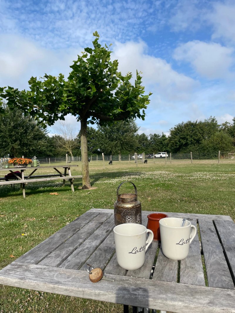 Hof van Renesse