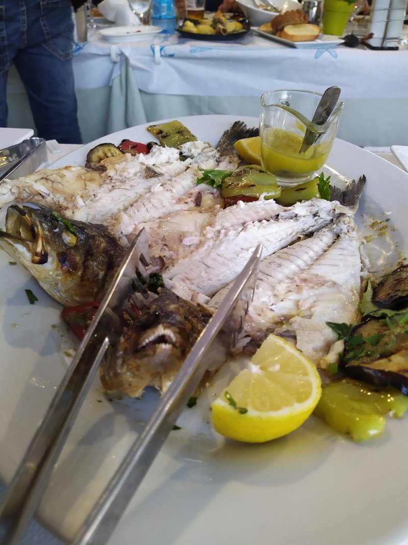 Liana Taverna