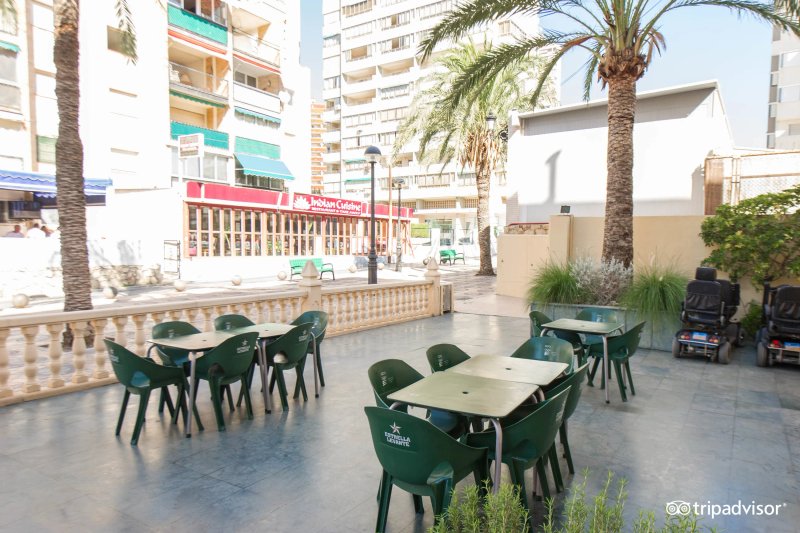Palm Court Apartments