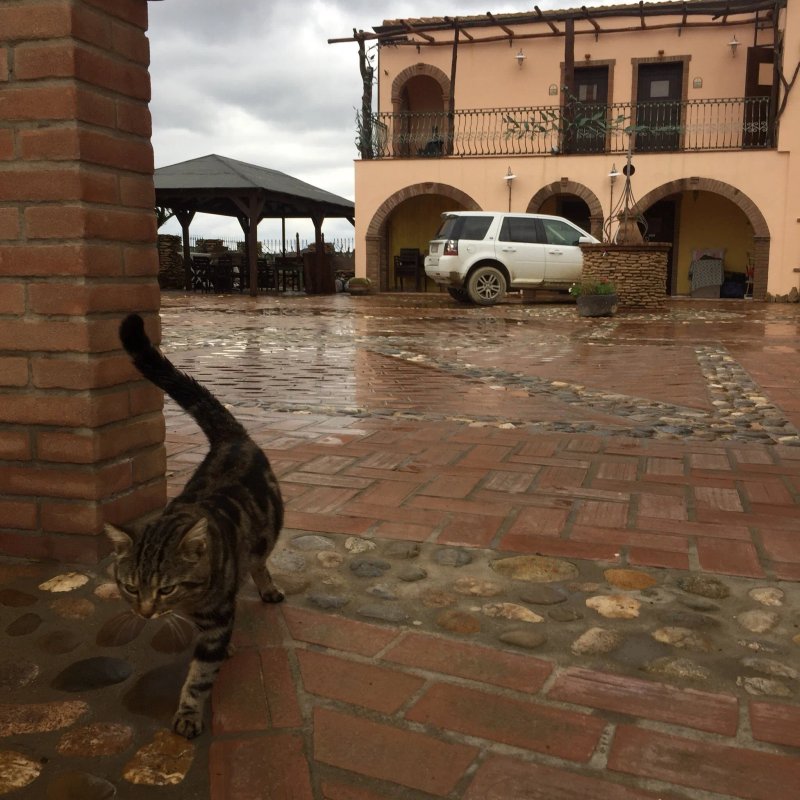 Agriturismo L'Orizzonte