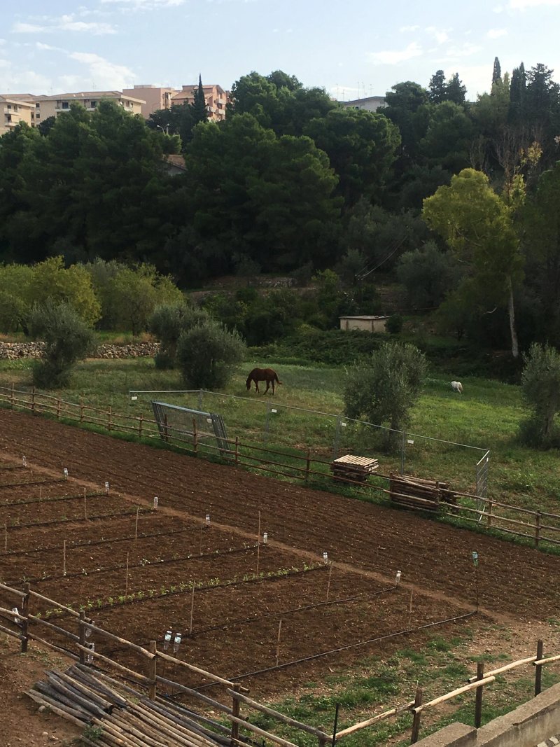 B&B Quattromulini