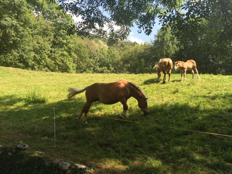 Ristorante del Agriturismo la Peta