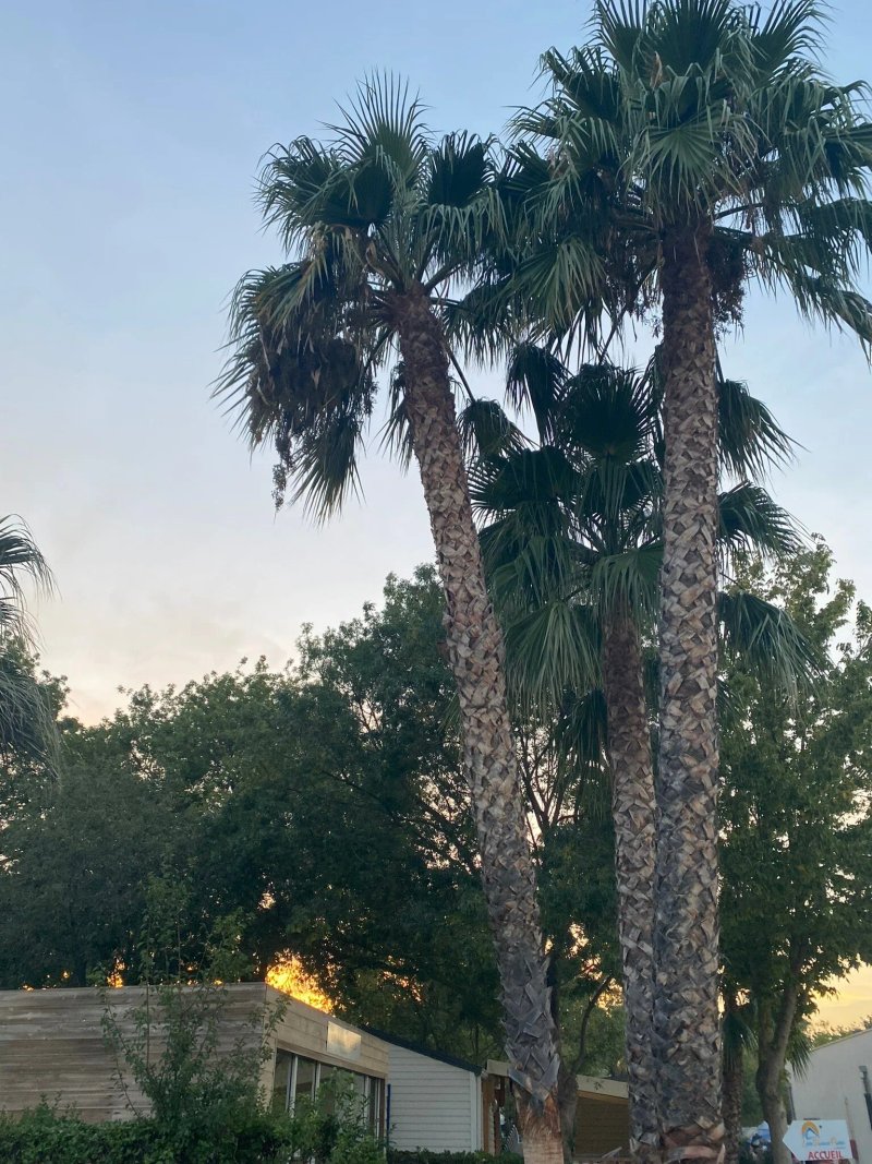 Camping Les Marsouins Ciela Village