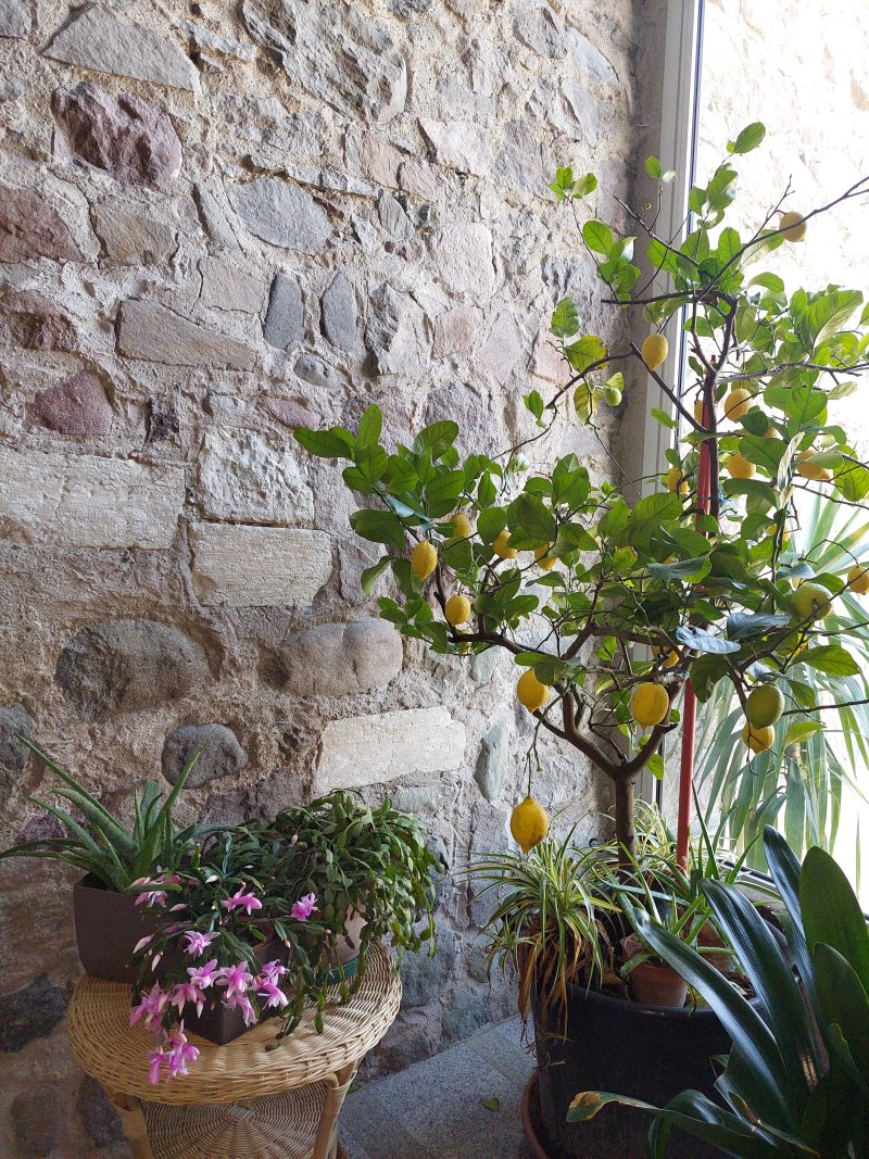 Agritur Bortolotti