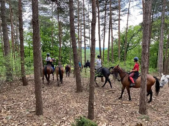 Balades a cheval a Chantilly