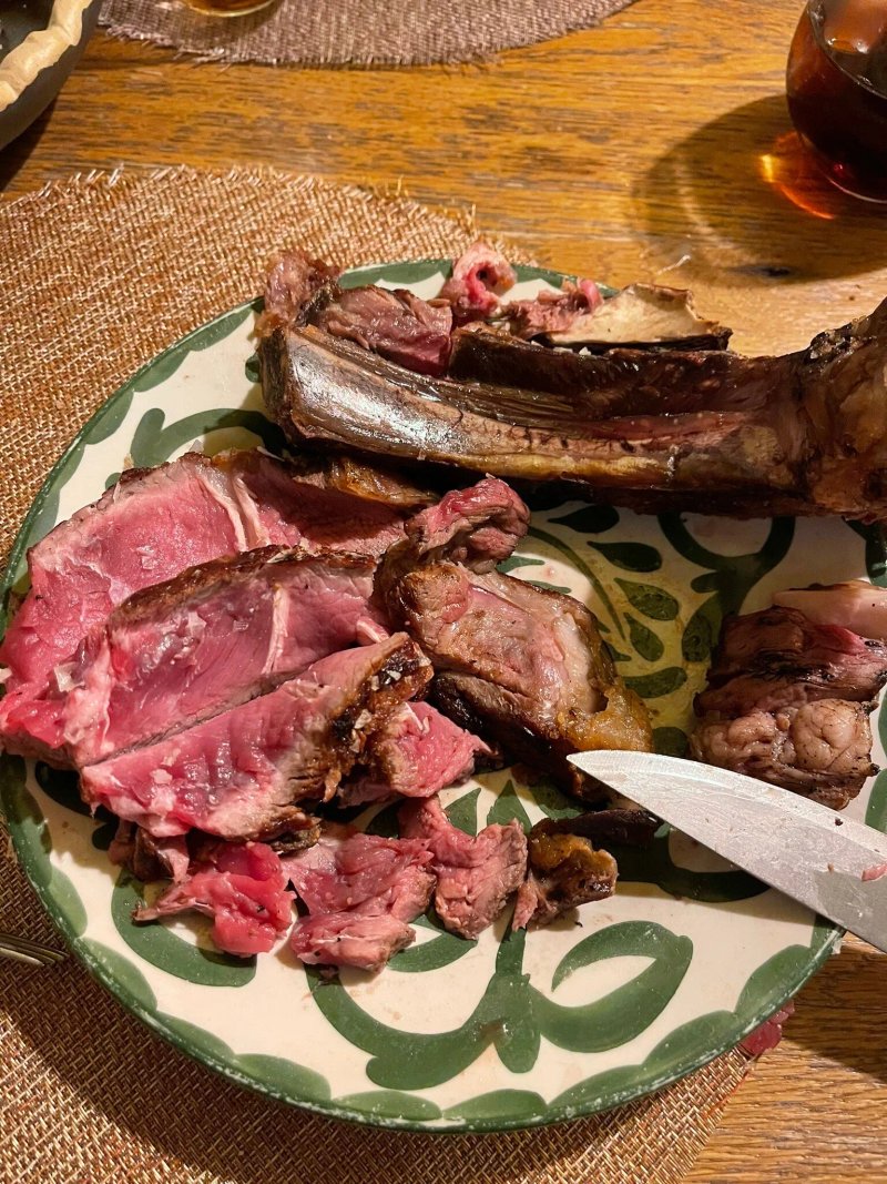 Carnivora
