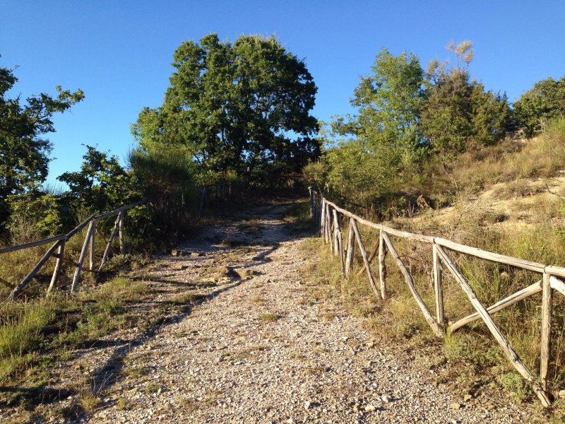 Guinzano Agriturismo