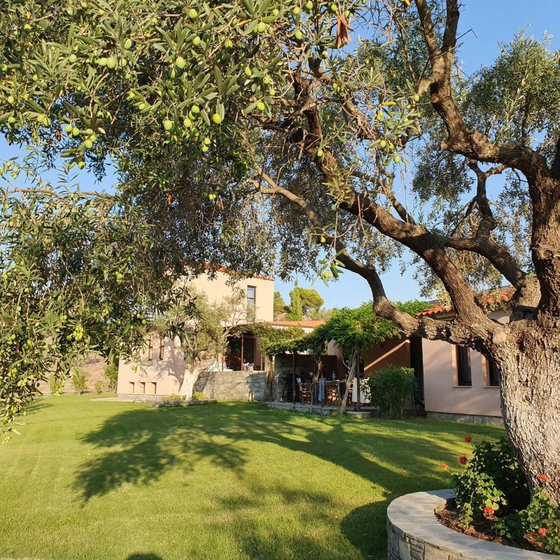 Serenity Estate