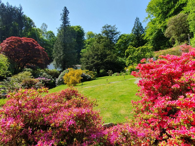 Foxghyll Country House B&B