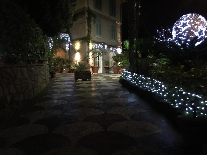 Hotel Verdeborgo