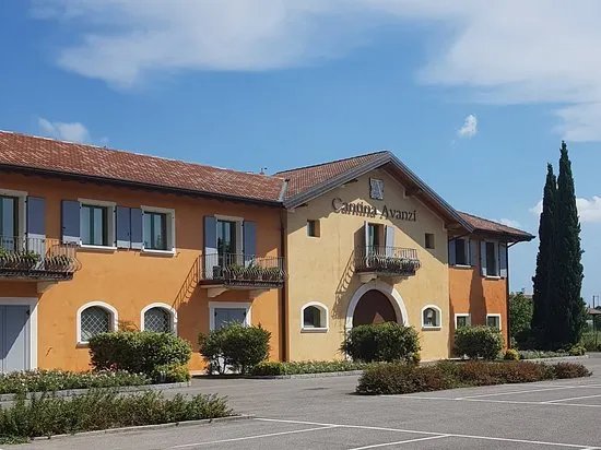 Cantina Avanzi