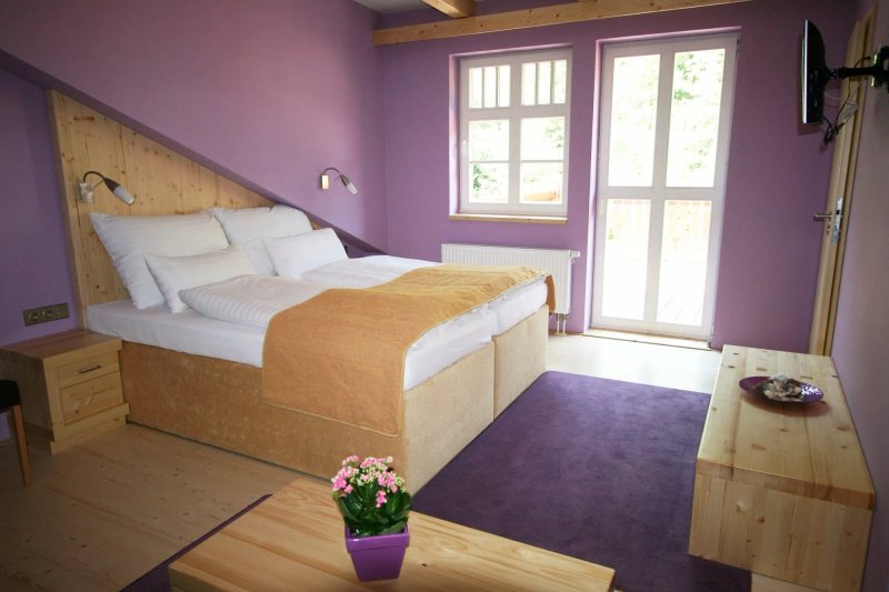 Hotel Sepetna