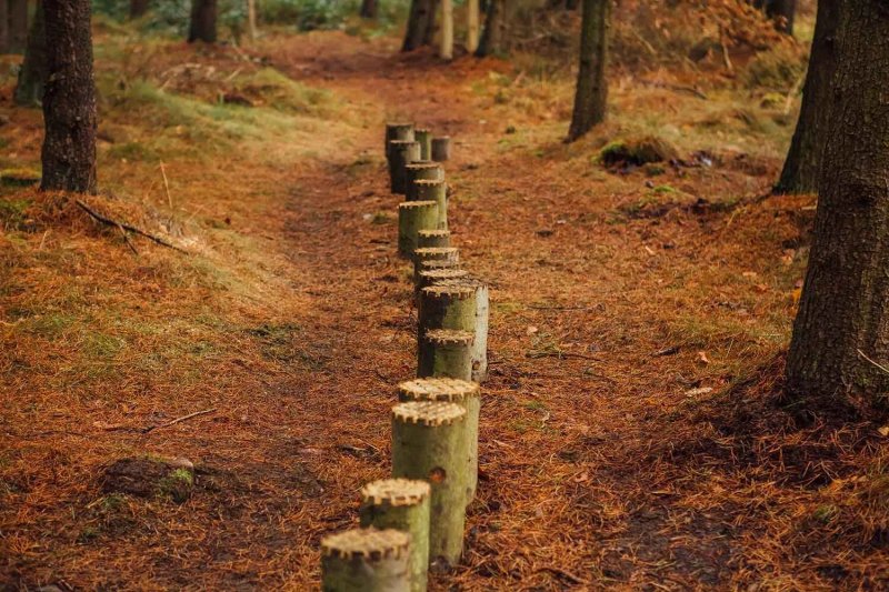 Greno Woods Nature Reserve