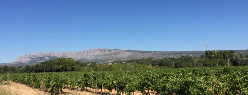 Le Cabanon Enchante
