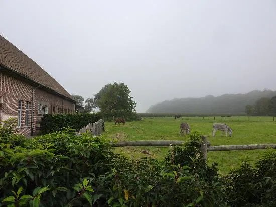 Boskapelhoeve - Hotel B