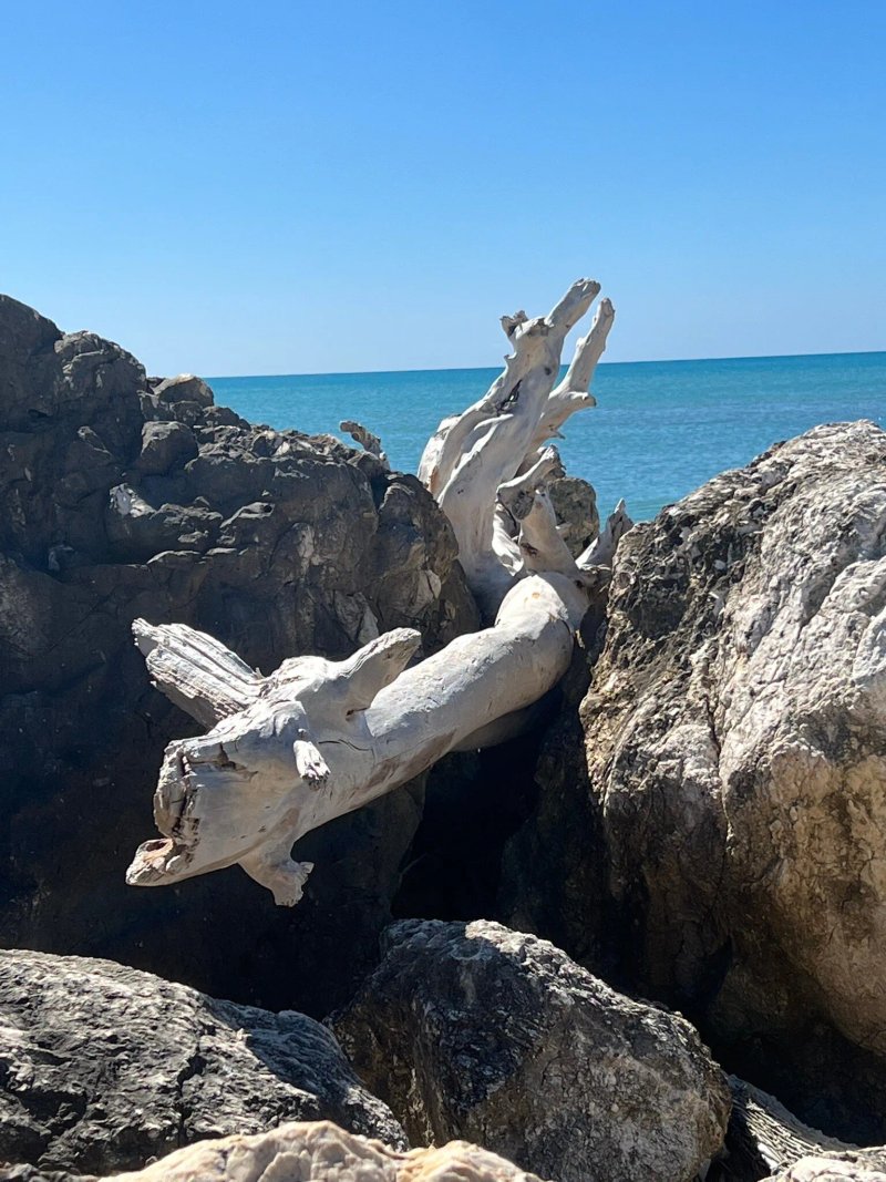 La Tonnara di Sciacca