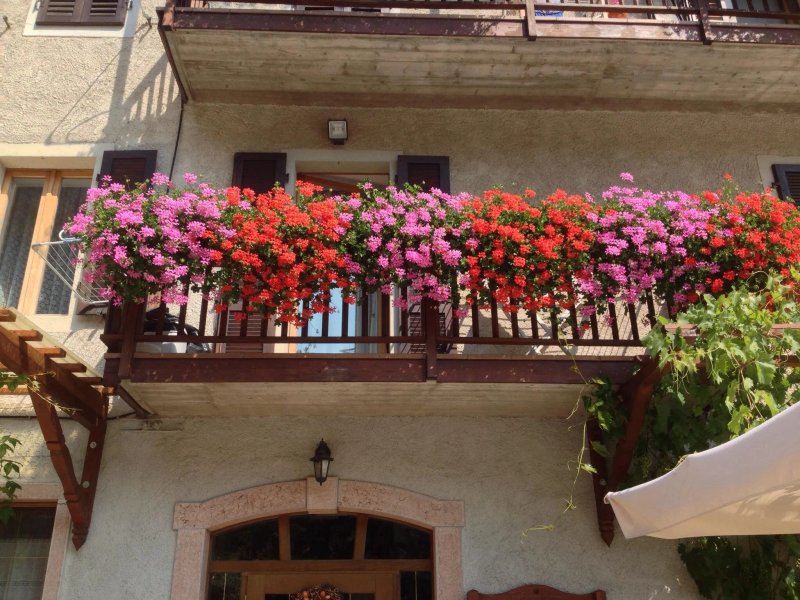 Osteria Ca' dei Giosi