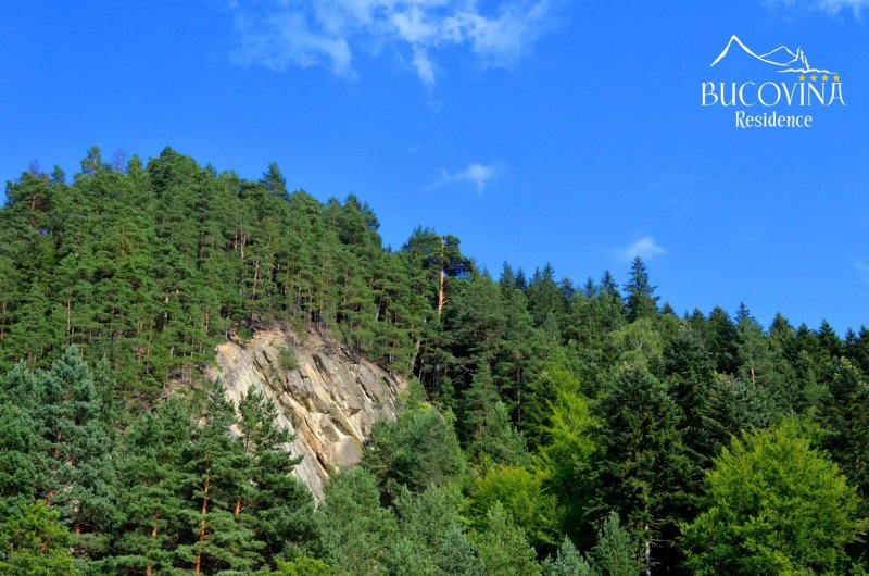 Bucovina Residence
