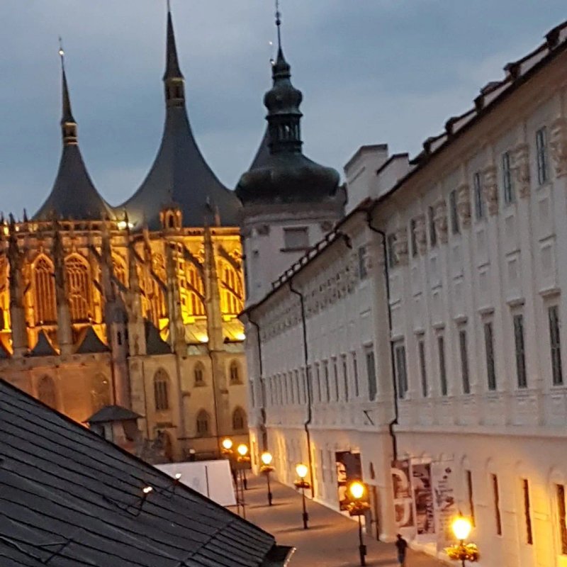 Vila U Varhanare