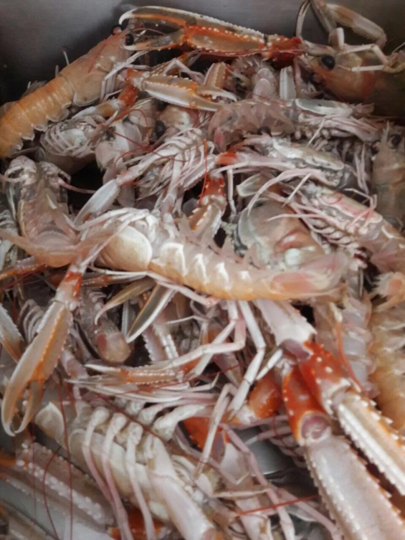 Kalada