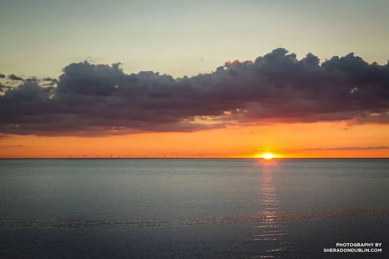 Sandpiper Cottage By The Sea. Last Minute Sale!