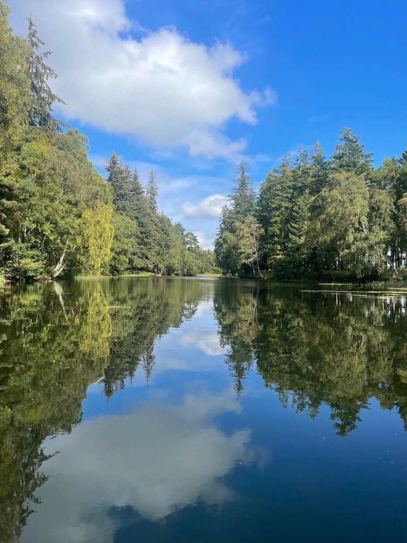 Delny Highland Lodges