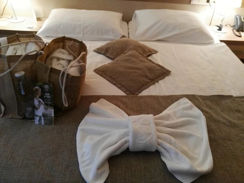 Hotel Breza