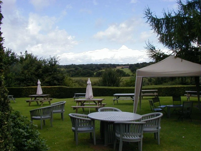 The Whalebone