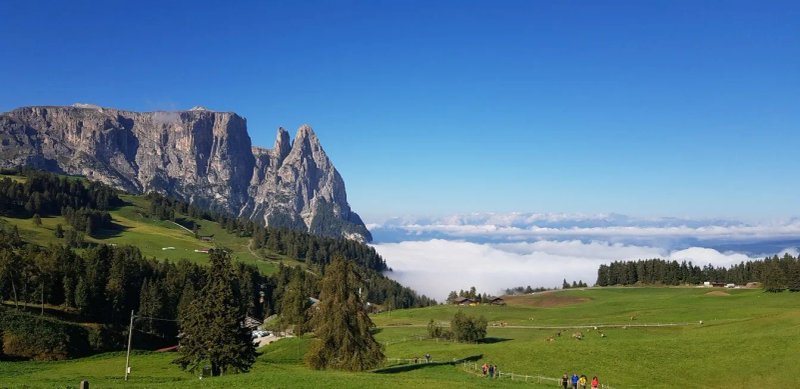 Kamaunhof