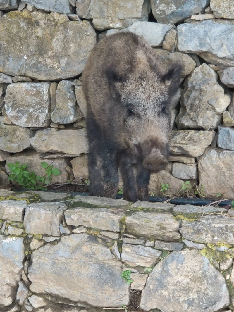Rifugio Muzzerone