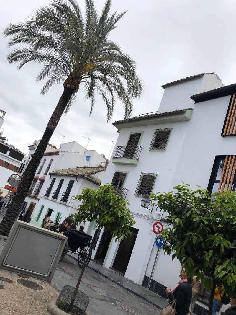 Hostal Almanzor