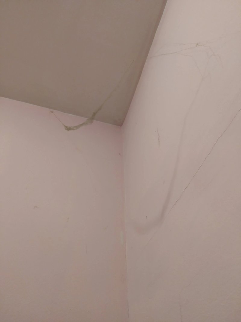 Green Hostel 24