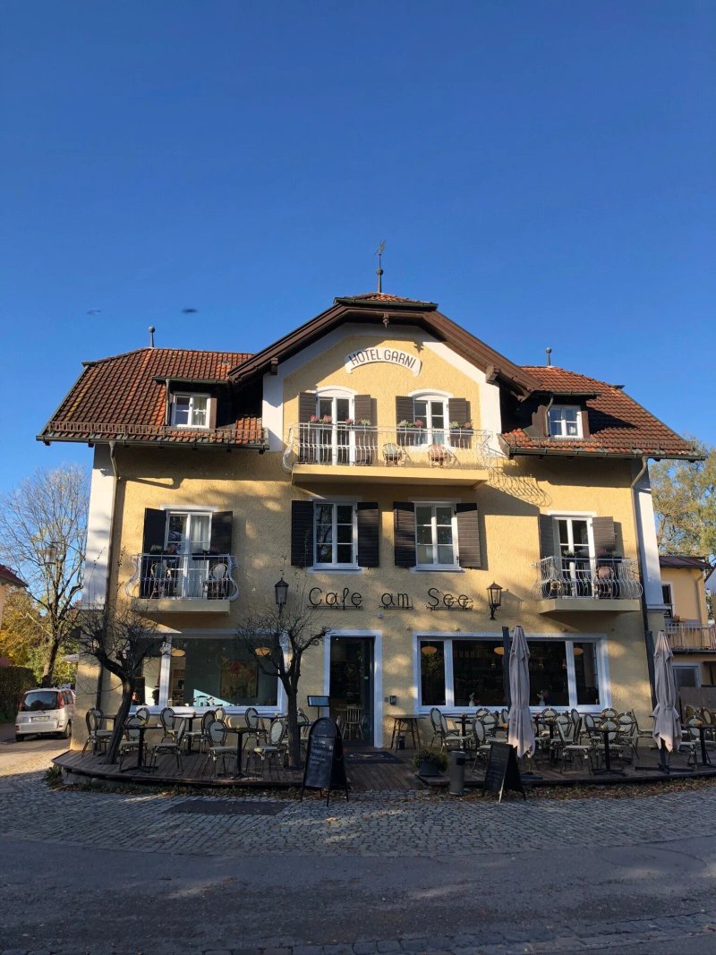 Die Goldammer